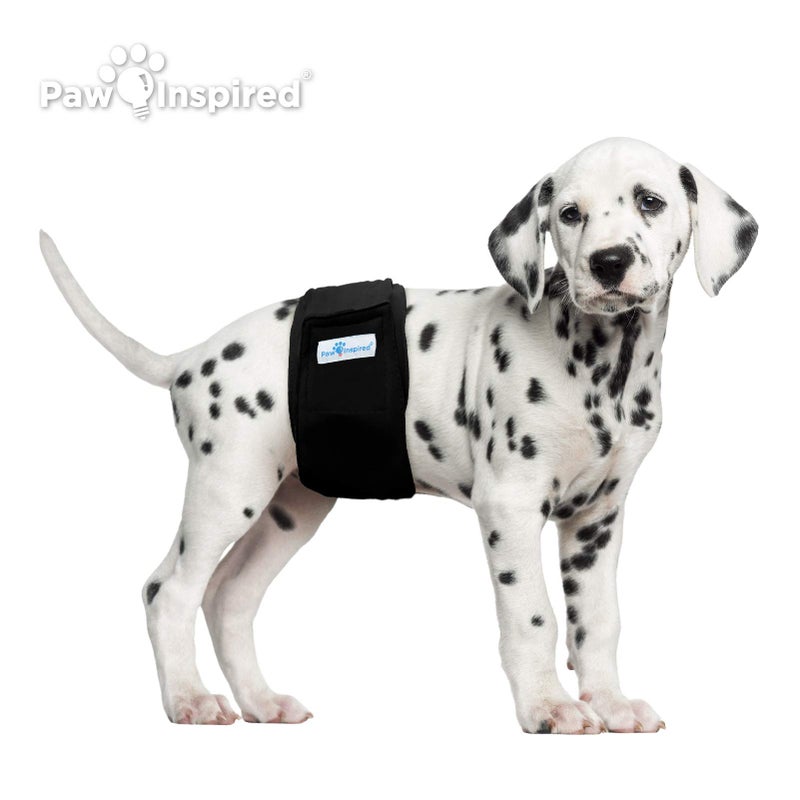 Paw Inspired 3-Count Reusable Male Dog Wraps, Washable Diapers for Male Dogs, Belly Bands for Incontinence, Surgery, Male Marking (Small Size, Black Color with Black Lining, Pack of 3) - Image 3